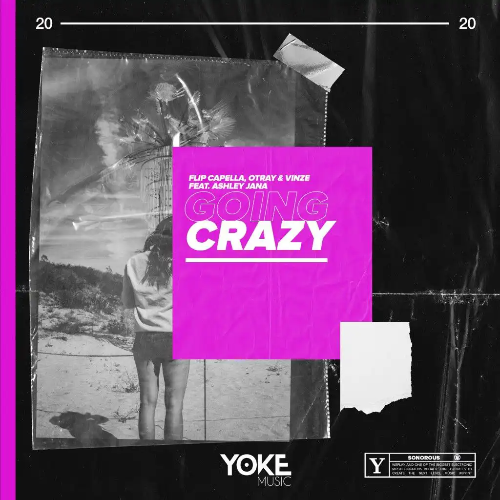 Going Crazy (feat. Ashley Jana)