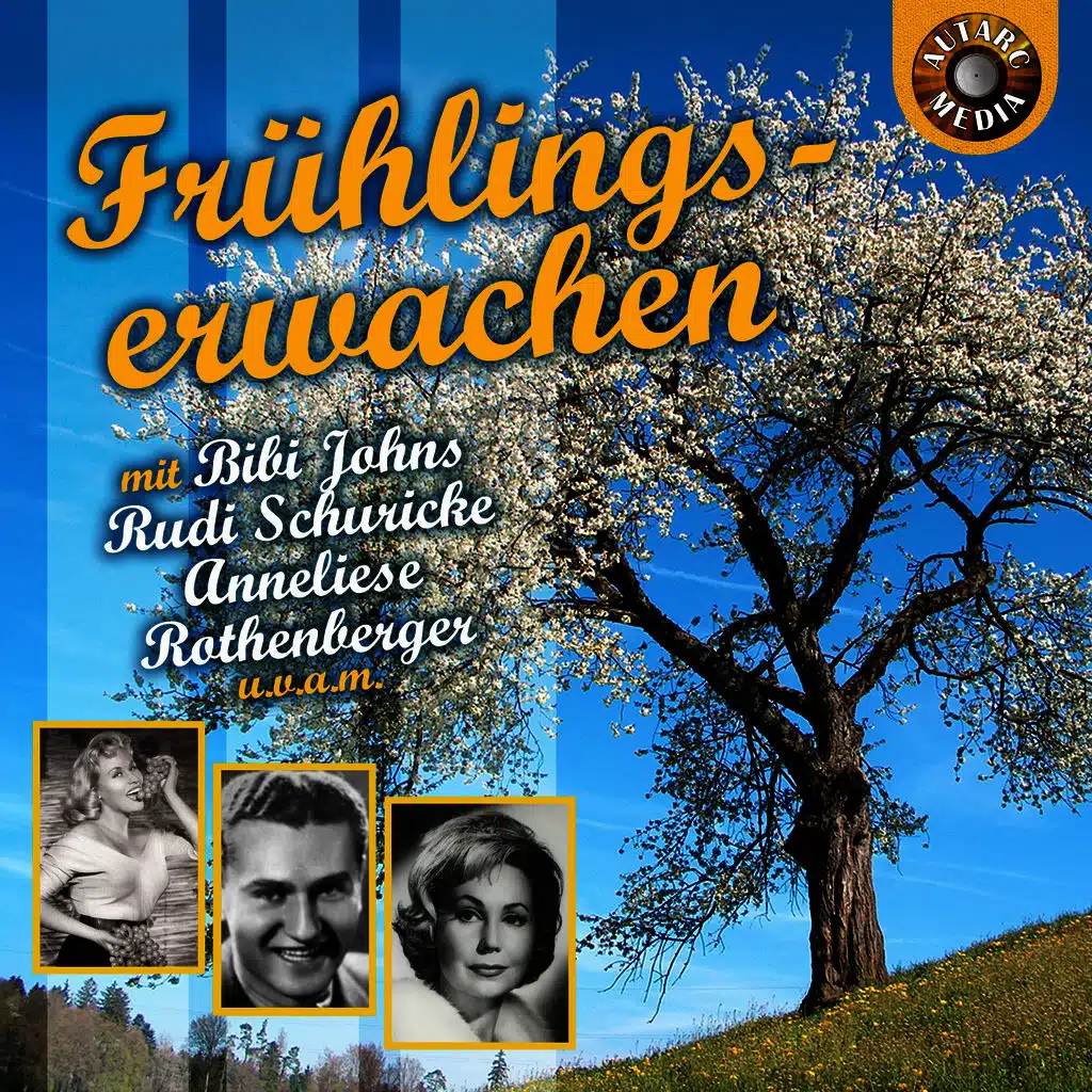 Maiglöckchen, Maiglöckchen