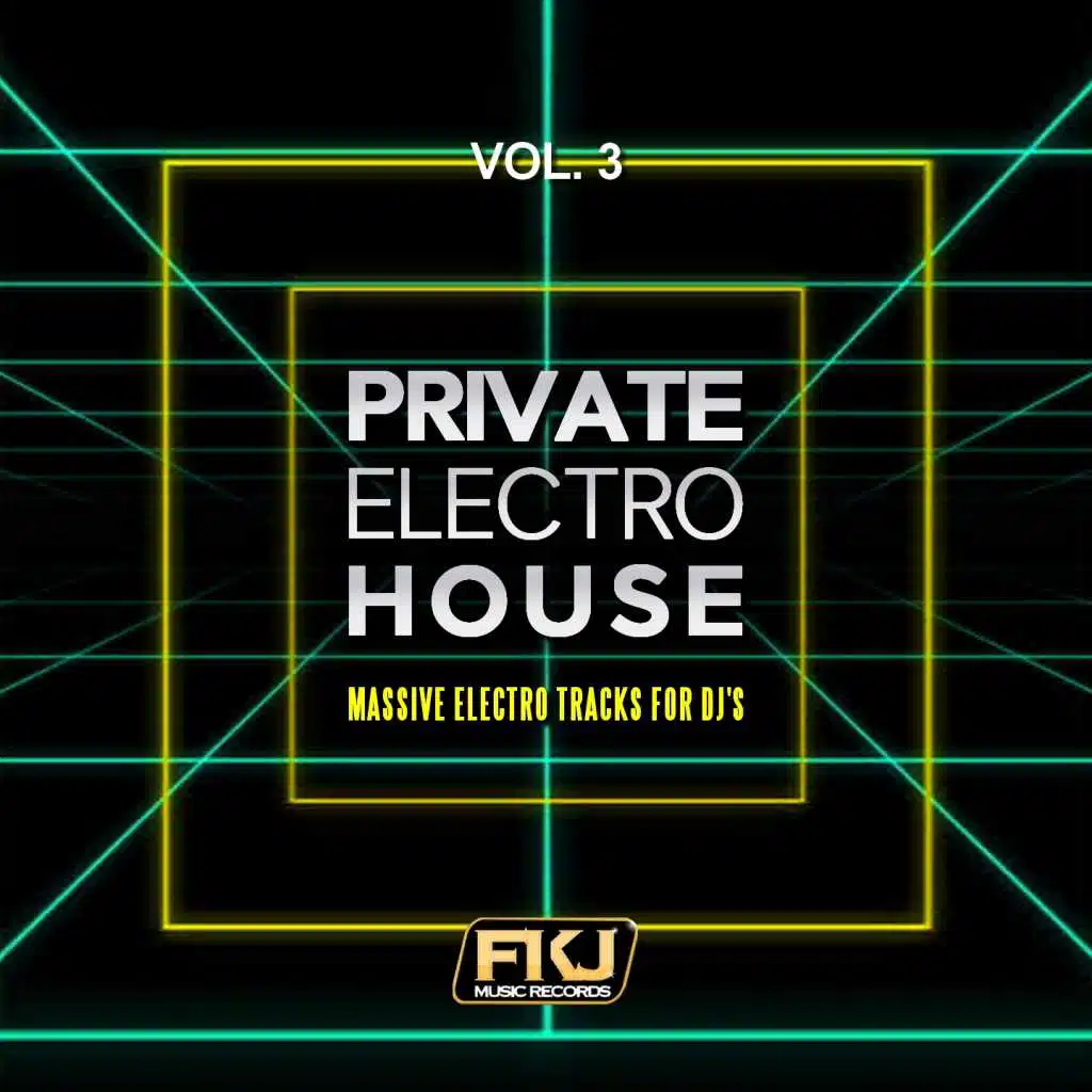 Private Electro House, Vol. 3 (Massive Electro Tracks for DJ's)