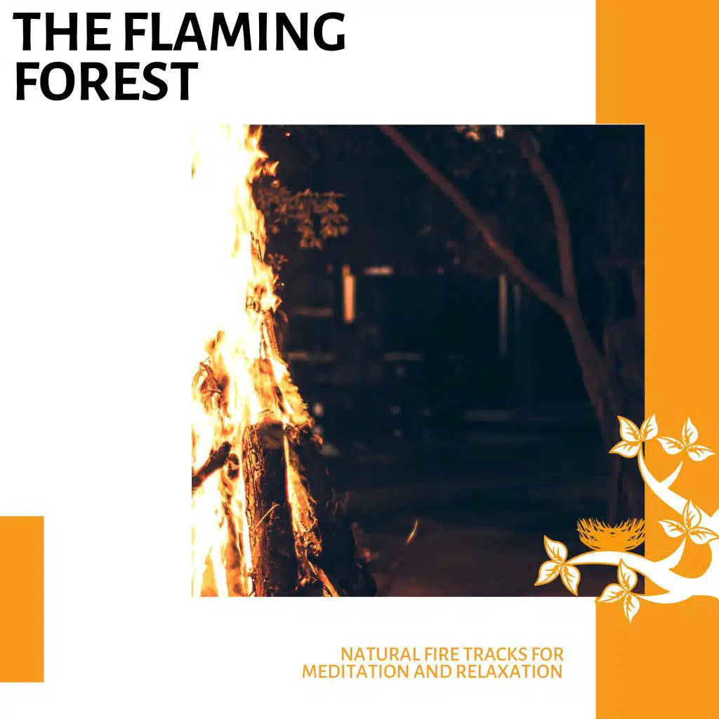 Fire Flames Relaxation Sounds