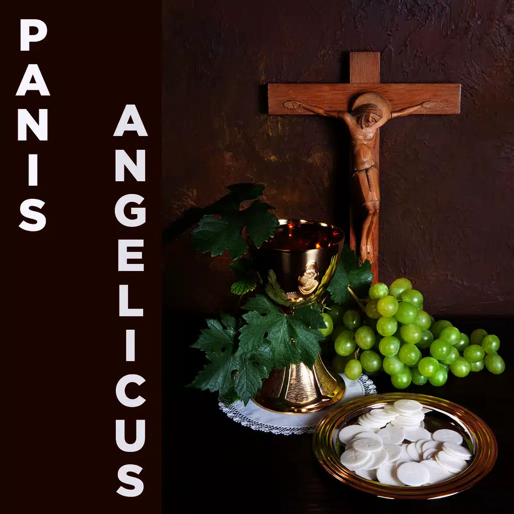 Catholic Piano Maestro