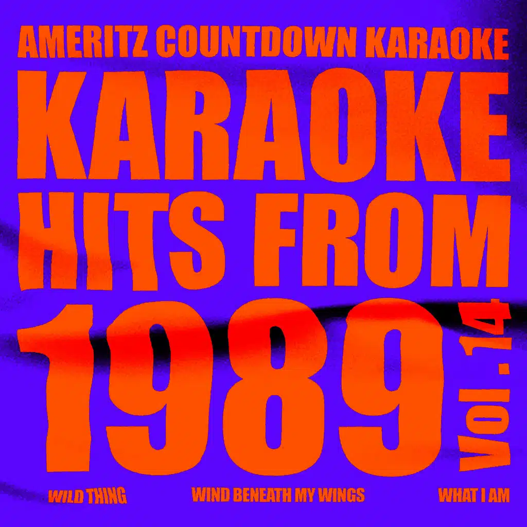 Karaoke Hits from 1989, Vol. 14