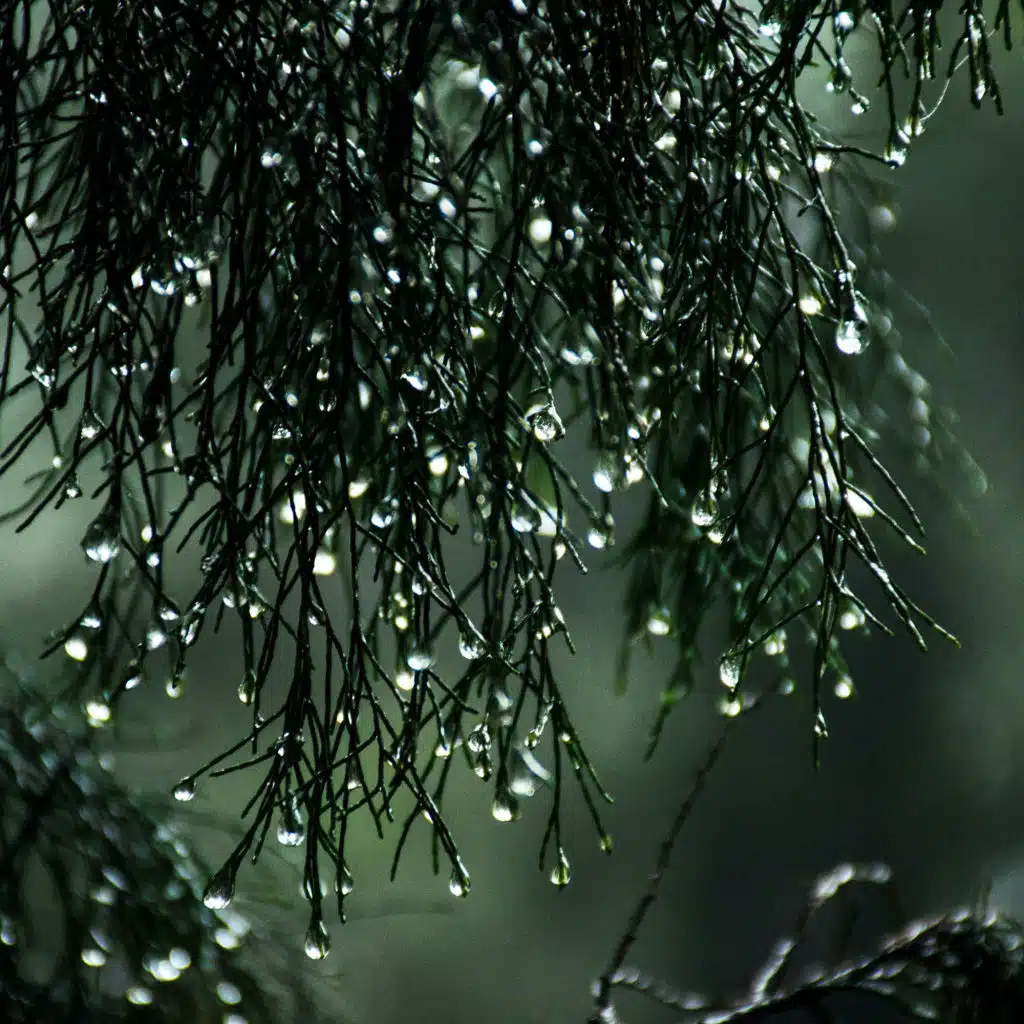 Window Rain and Storm