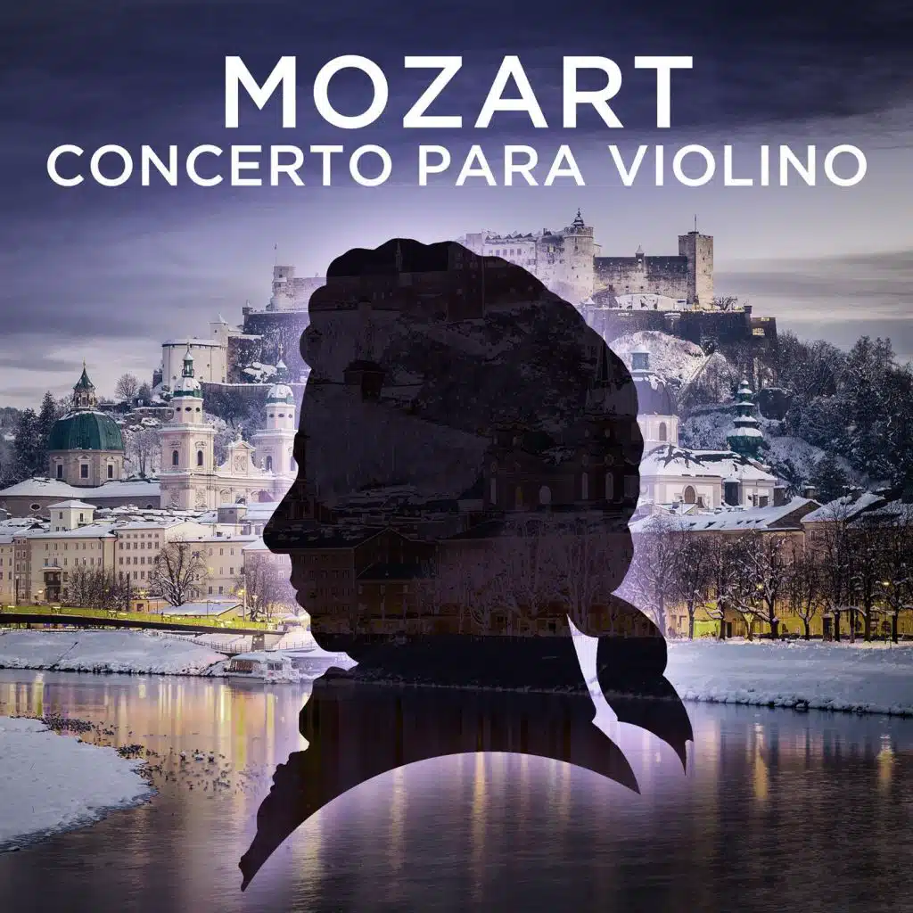 Violin Concerto No. 2 in D Major, K. 211: II. Andante