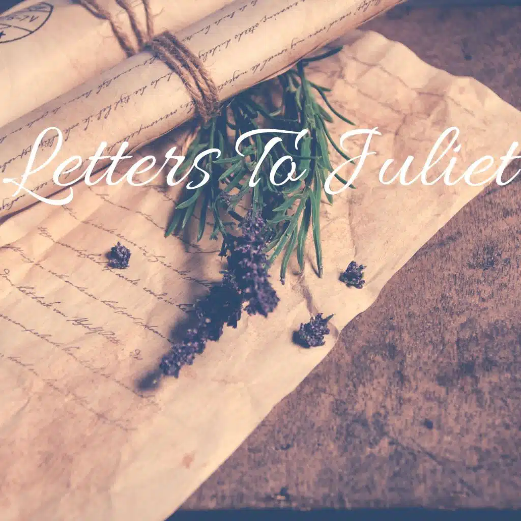 A Rose and Its Beauty