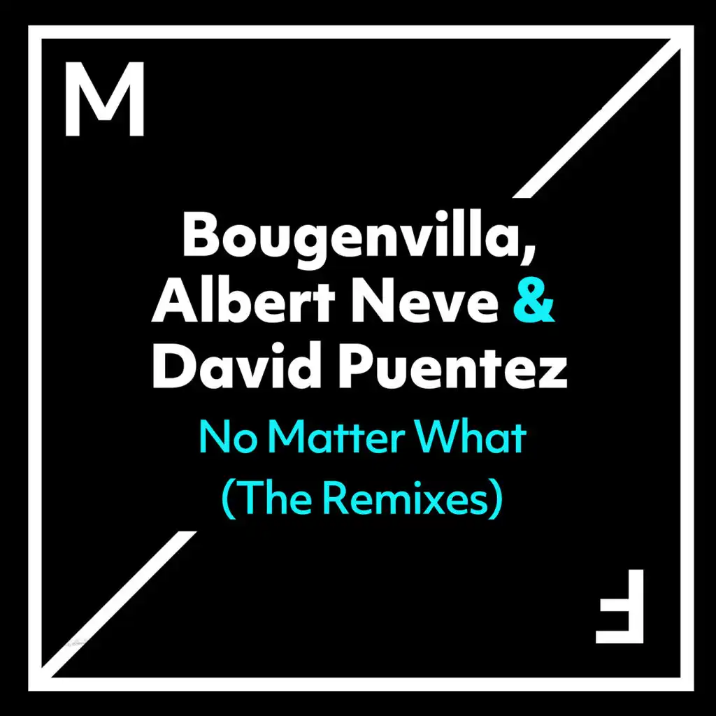No Matter What (The Remixes)
