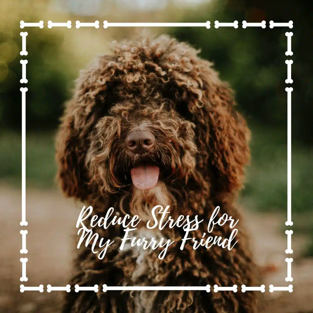 Reduce Stress for My Furry Friend