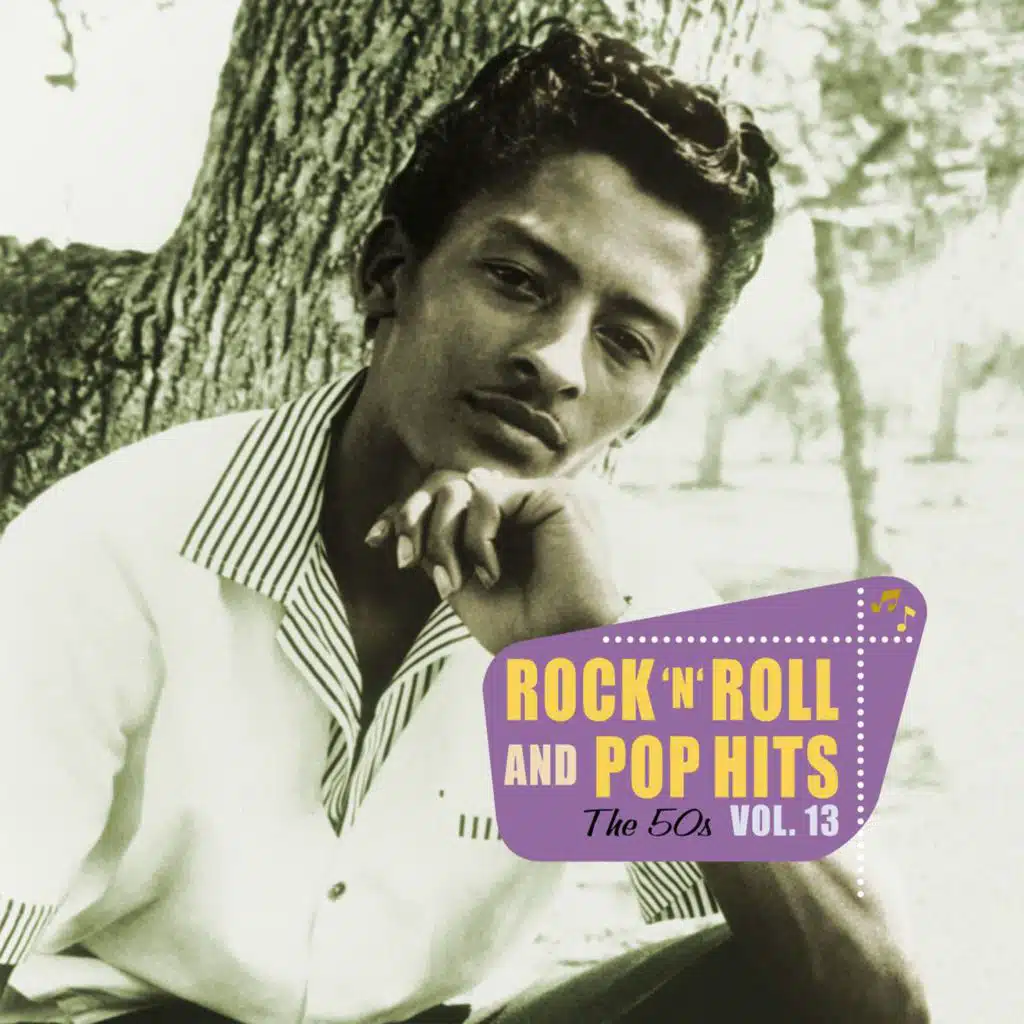 Rock 'n' Roll and Pop Hits: The 50s, Vol. 13