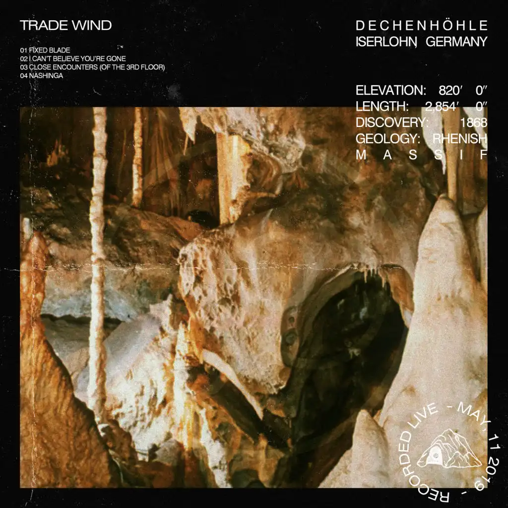 I Can't Believe You're Gone (Live)