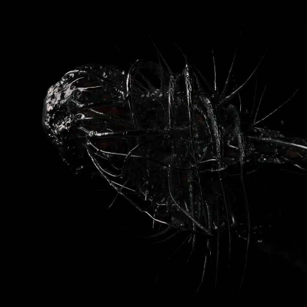 Luckystar (feat. Rulez)