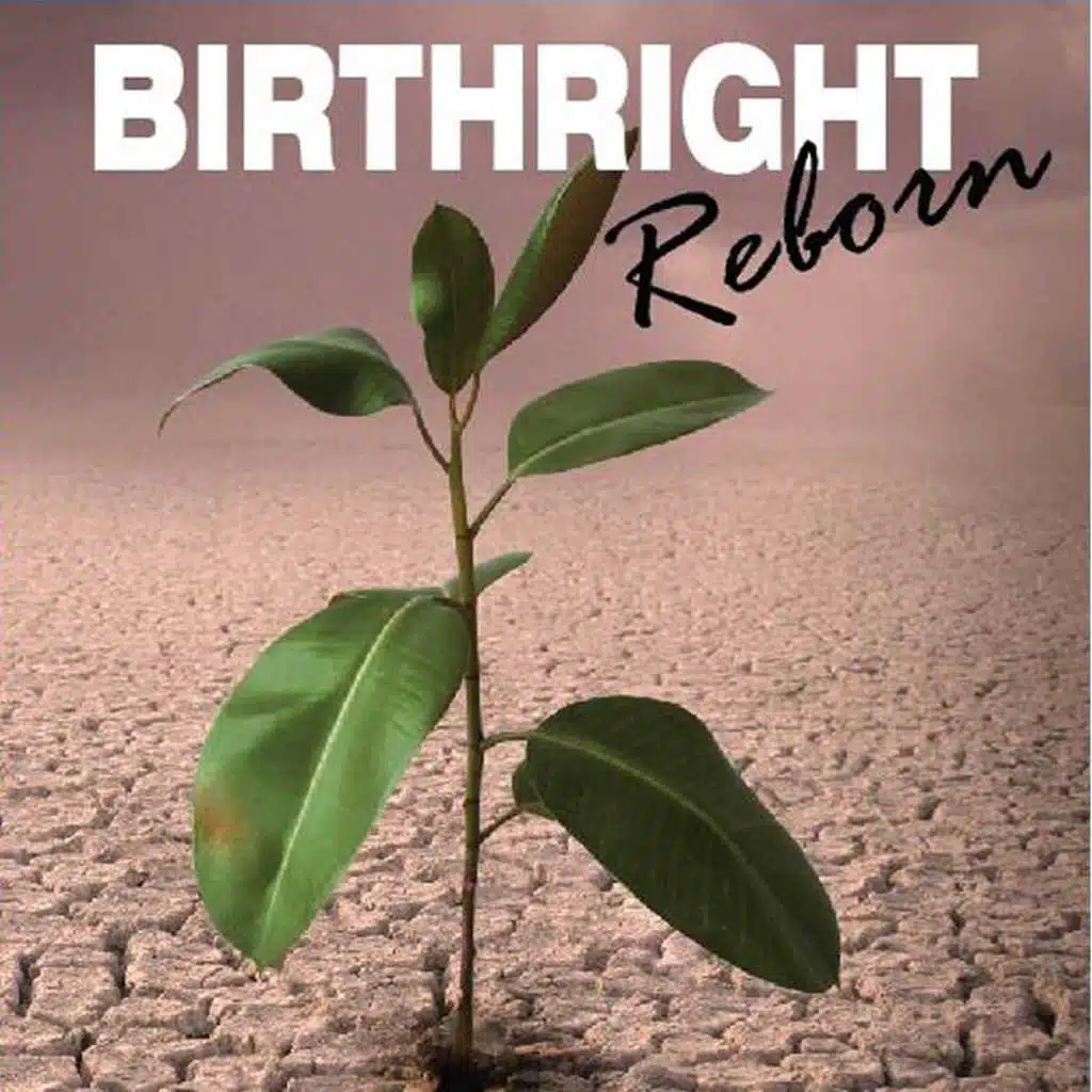 Birthright Reborn