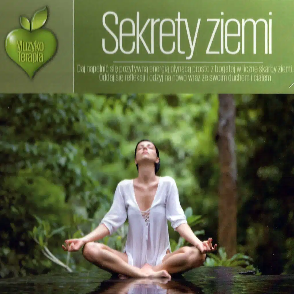 Źródła Muzyki (Instrumental)