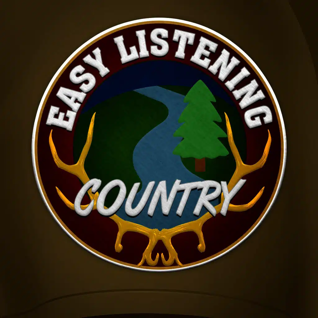 Party Country & American Country Hits