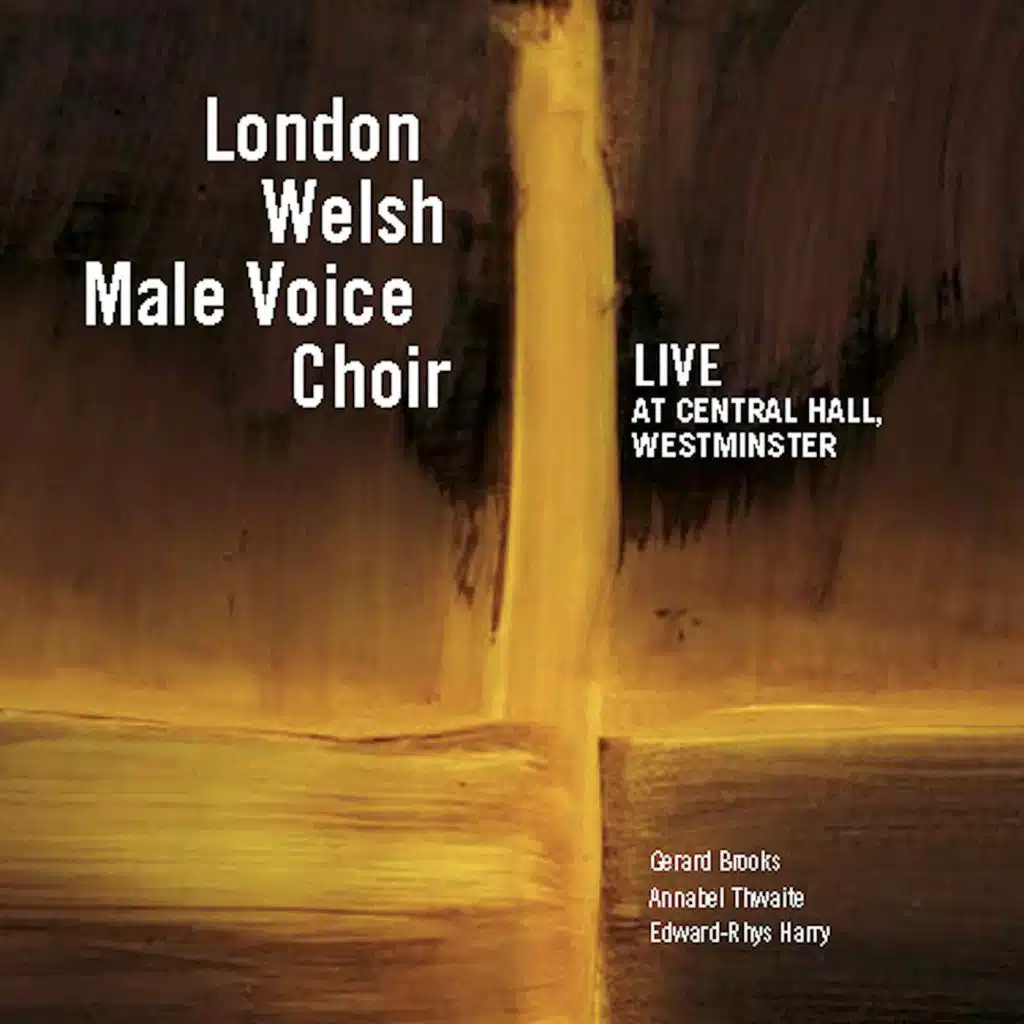 Llwyn Owen (Live)
