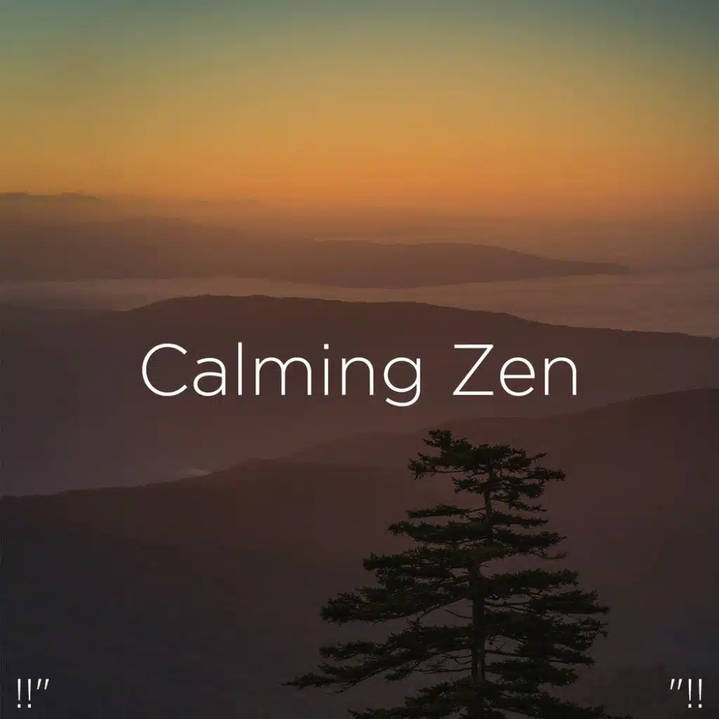 !!" Calming Zen "!!