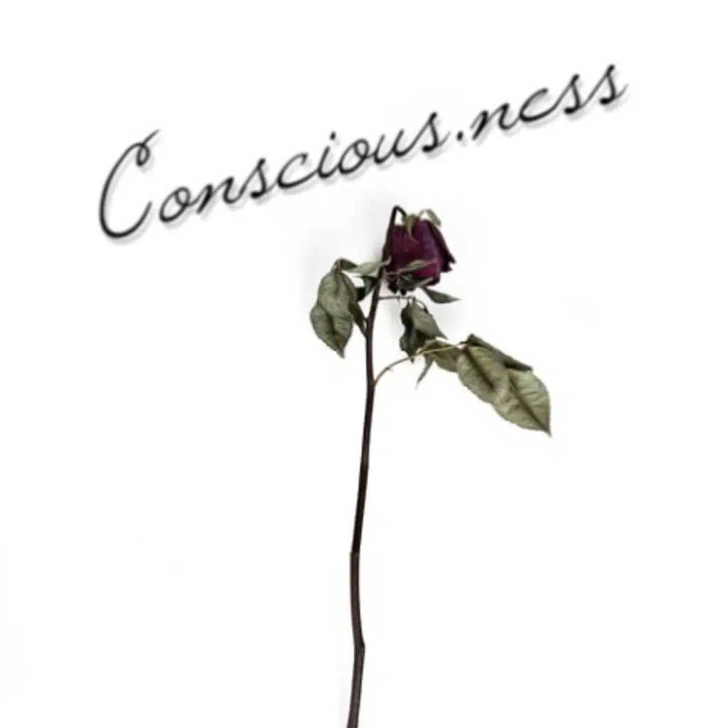 Conscious-Ness