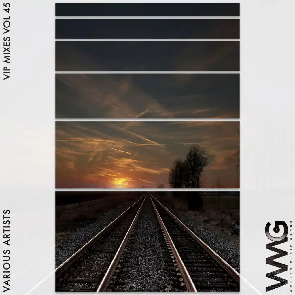 VIP Mixes, Vol. 45
