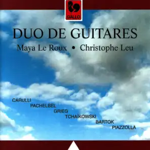 3 Sérénades for Two Guitars, Op. 96: II. Larghetto