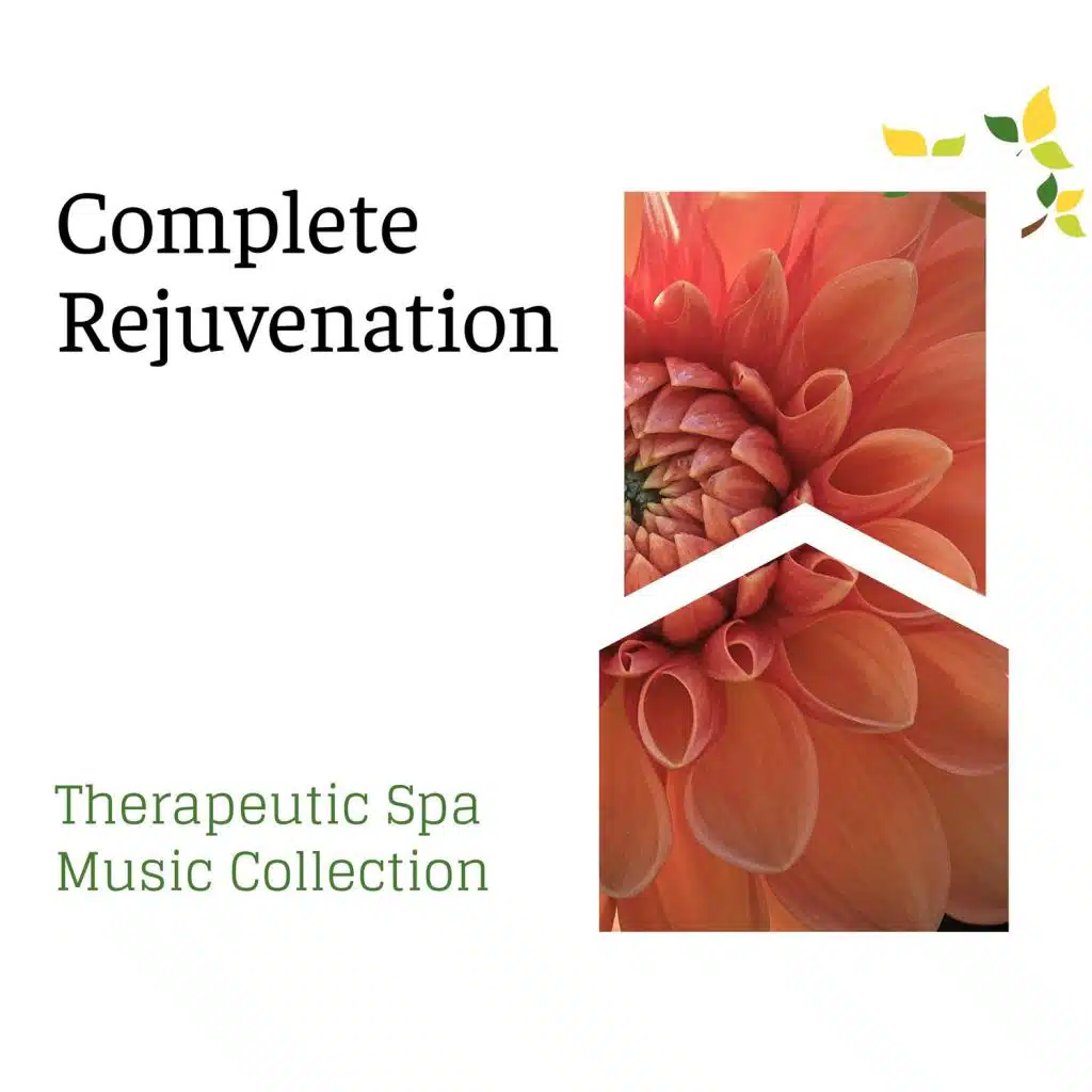Complete Rejuvenation - Therapeutic Spa Music Collection