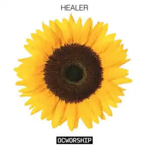 Healer (Live)