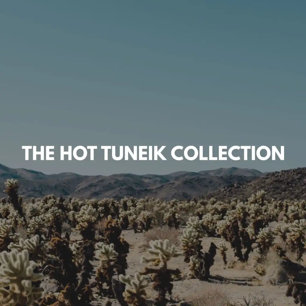 The Hot TuneiK Collection