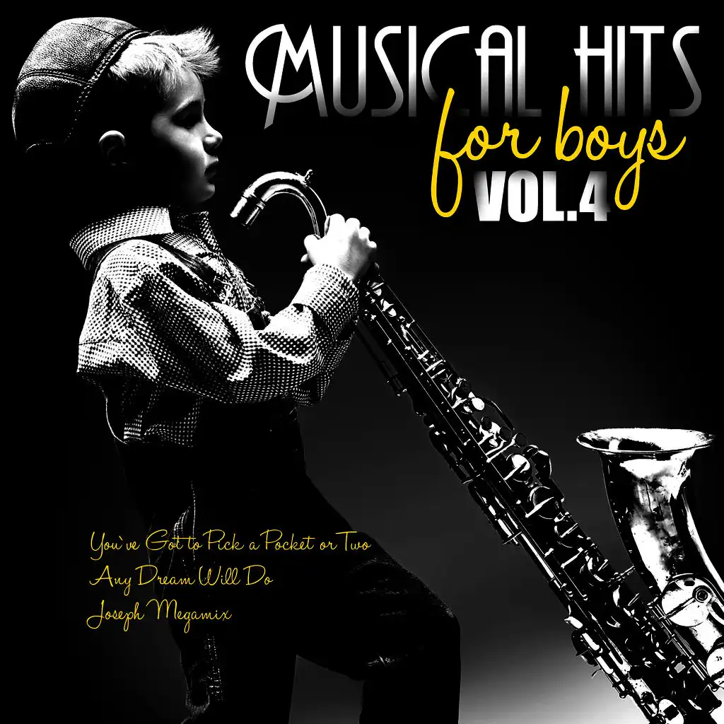 Karaoke - Musical Hits for Boys, Vol. 4