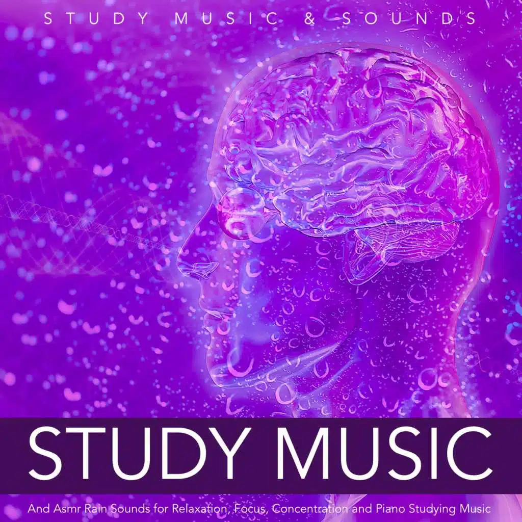 Calm Study Music (Rain Sounds)
