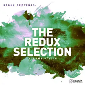 Redux Selection Vol. 5 / 2020