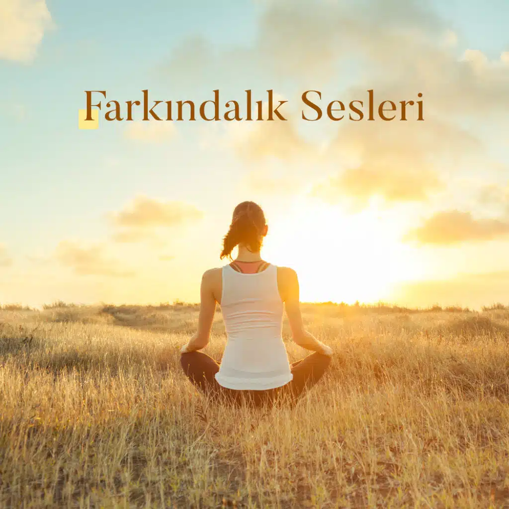Farkındalık Sesleri