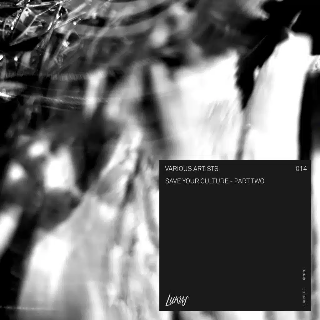 BONDI & David Hasert