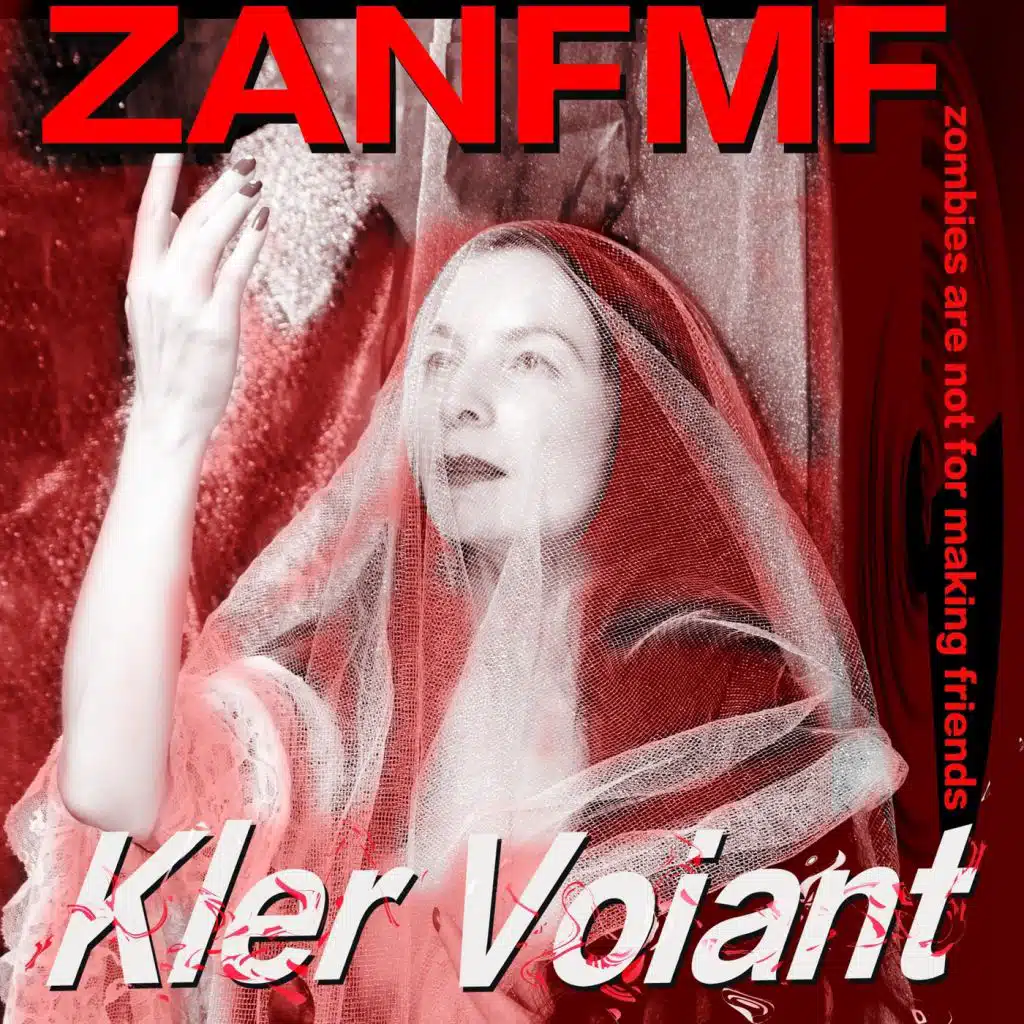 ZANFMF (Zombies Are Not for Making Friends)