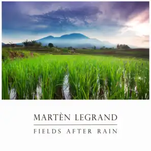 Fields After Rain