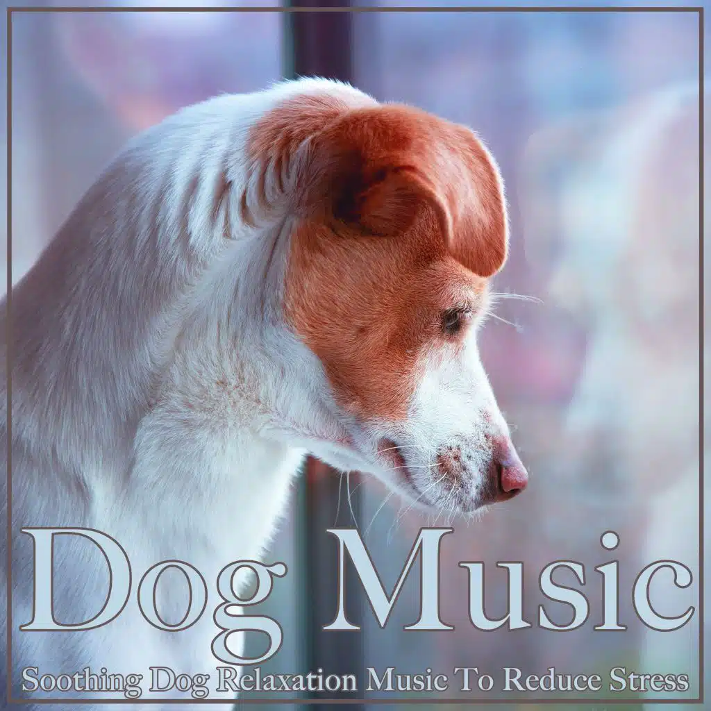 The Dog Song