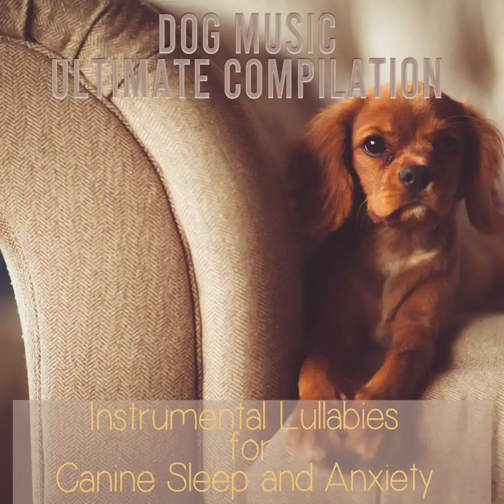 Puppy sleep music