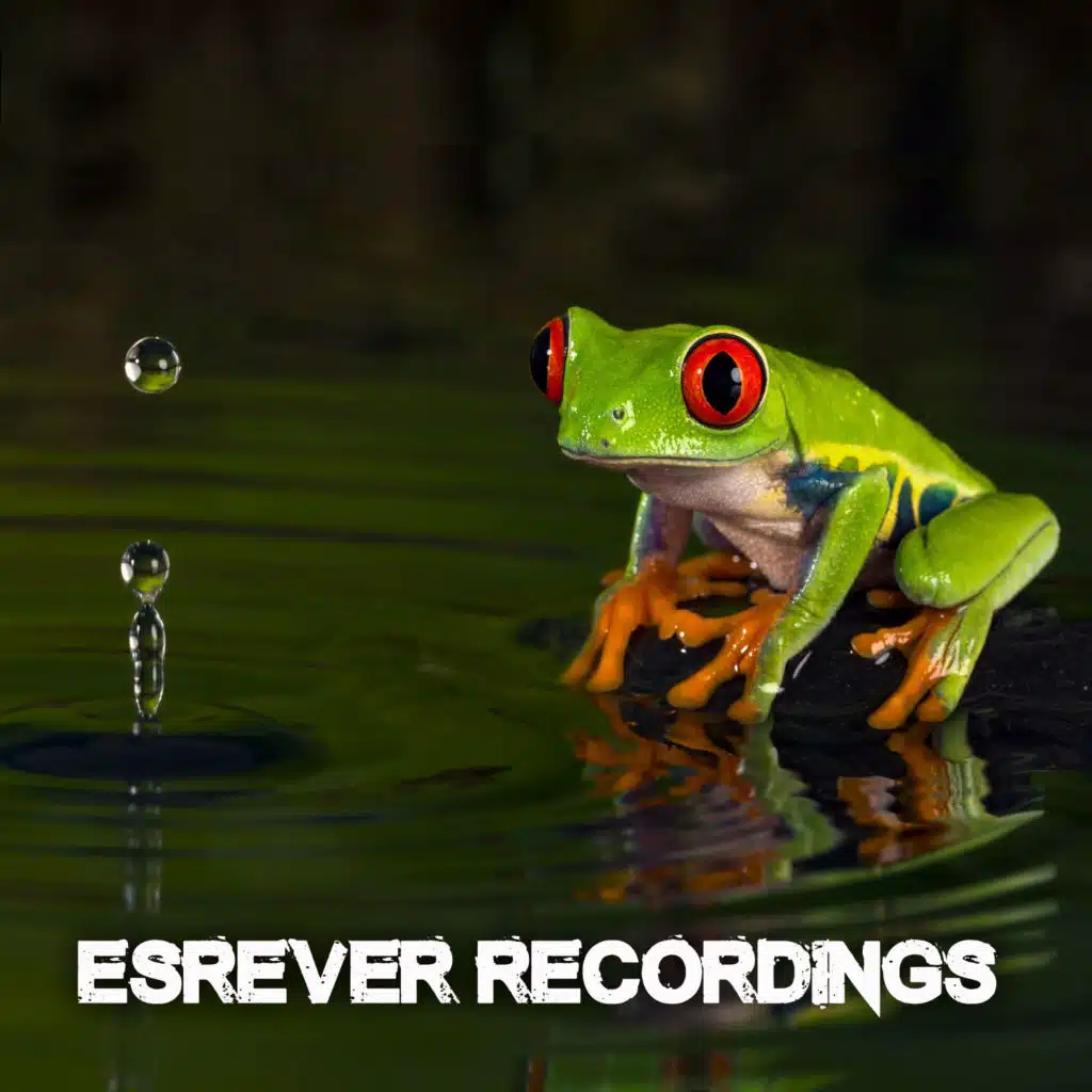 Original House Movement, Devil57