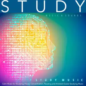 Study Music: Calm Music for Studying, Focus, Concentration, Reading and Ambient Guitar Studying Music