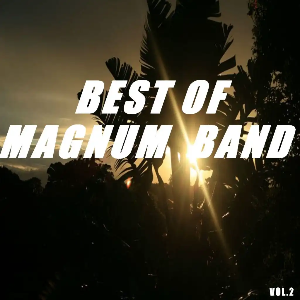 Best of magnum band (Vol.2)