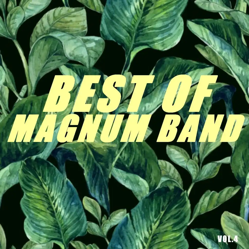 Best of magnum band (Vol.4)