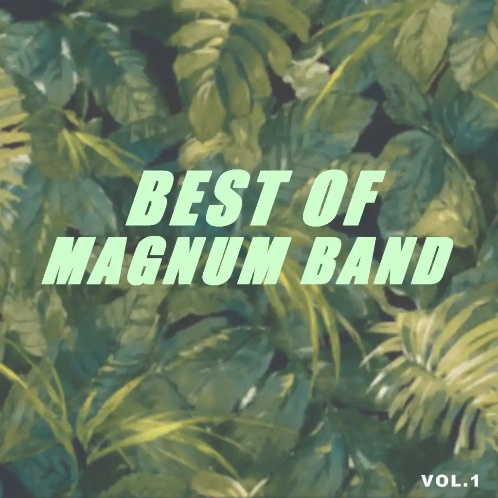 Best of magnum band (Vol.1)