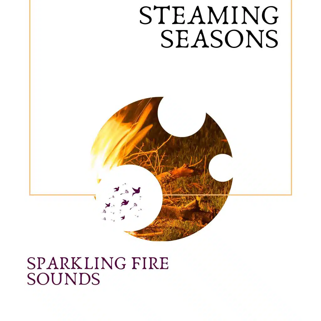 Steaming Seasons - Sparkling Fire Sounds