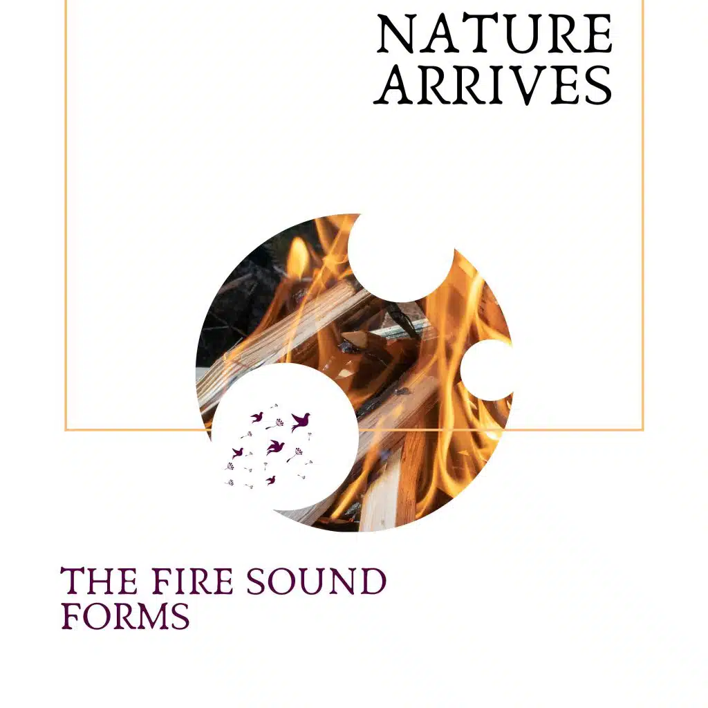 Bonfire at Forest Night