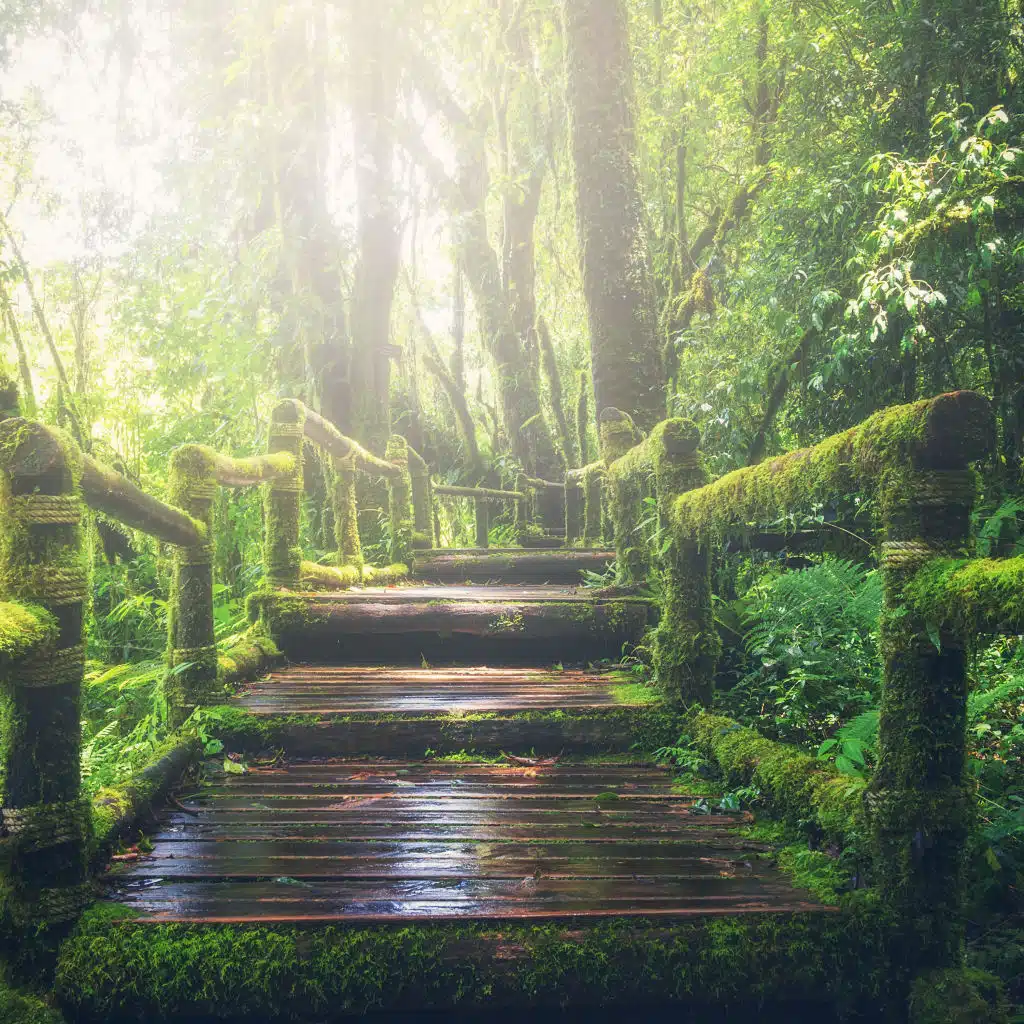 Calming Sounds, Zen, Sounds of Nature Relaxation