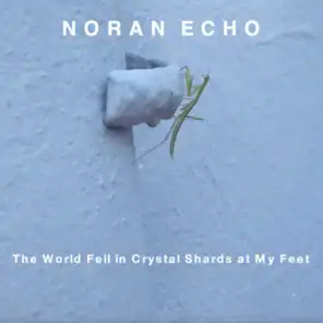 The World Fell in Crystal Shards at My Feet