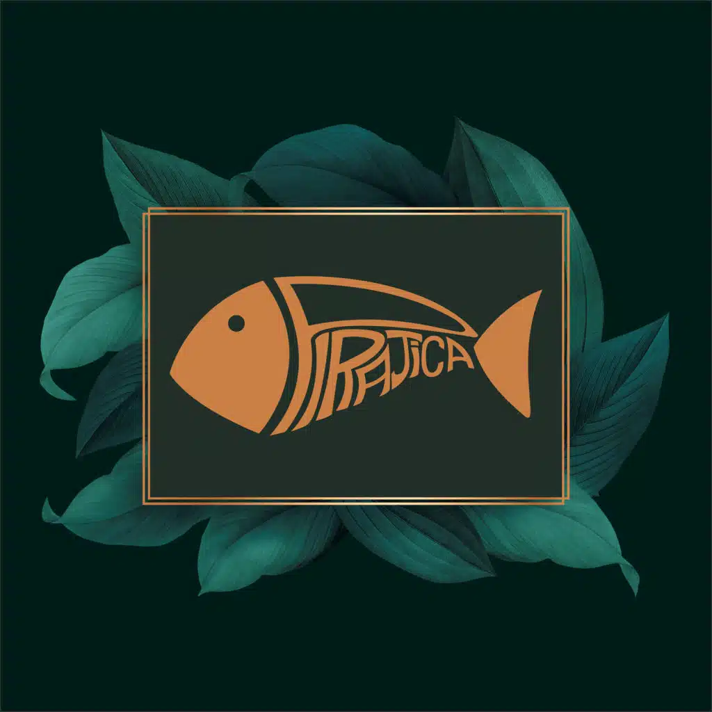 Ao Vivo No Festival Toda Arte (feat. Fidura Cardial)