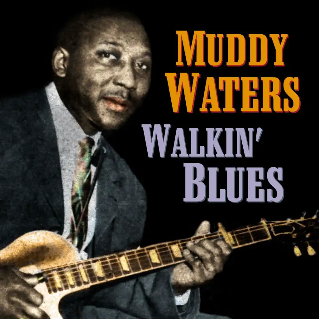 Standing Around Crying (feat. Elgin Evans, Jimmy Rogers & Little Walter)