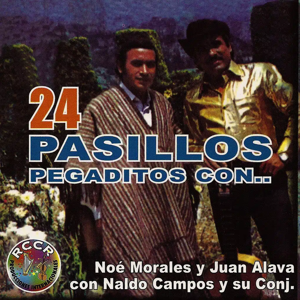 24 Pasillos Pegaditos Con...