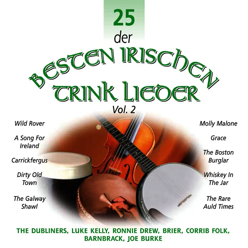 25 delle Migliori Canzoni Irlandese Per Bere, Vol. 2