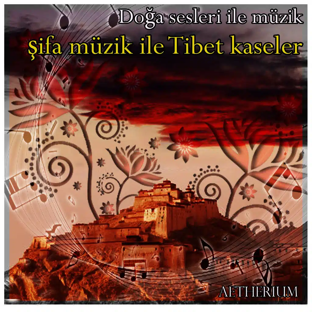 Doğa sesleri: yunuslar ve balinalar