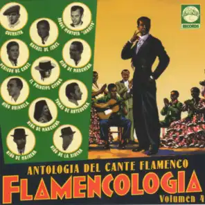 Antología del Cante Flamenco. Flamencología, Vol. 4