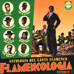 Antología del Cante Flamenco. Flamencología, Vol. 1
